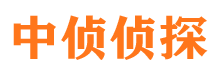 洛扎市侦探调查公司